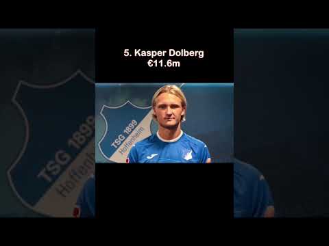 Top 5 Most Valuable Danish Football Players Playing In The German Bundesliga Bestfootballplayers