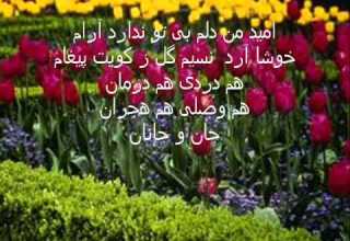 نسیم گل سیامک شجریان Siamak Shajarian Nasim E Gol