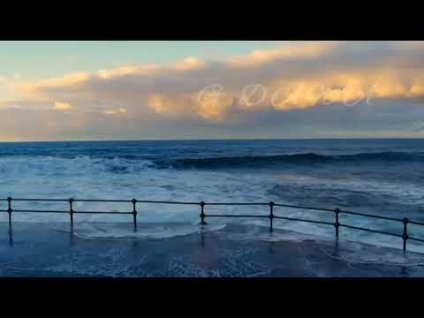 وردة الجزائرية في يوم و ليلة بدون موسيقى