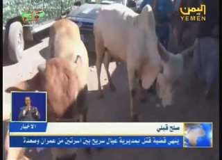  شاهد عمران صلح قبلي ينهي قضية قتل بمديرية عيال سريح بين اسرتين من عمران وصعدة