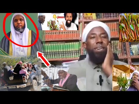 Wayee Jimaatiif If Hin Cinqinaa Jimaan Abbaa Arkatee Jira By Sheikh Amiin Ibroo