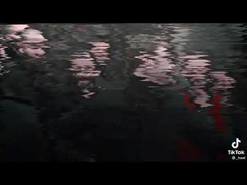 يحلى عمري باكمله