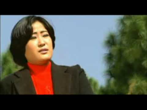 A Saiela Jhuma Limbu