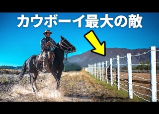  アメリカからカウボーイがいなくなったのはたった１つの発明のせいだった