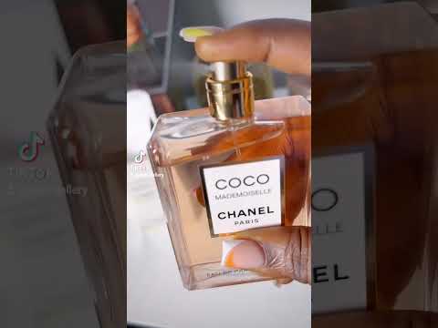 عطر كوكو شانيل ترافيل سايز اوريجينال اكسبلور اكسبلور Explore فوريو عطور برفيوم كوكو شانيل عطر كوكو شانيل ترافيل سايز اوريجينال اكسبلور اكسبلور Explore فوريو عطور برفيوم كوكو شانيل