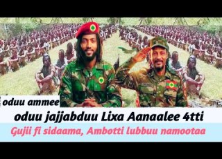 Oduu Jajjabduu Lixatti Aanaalee 4tti Gujii Fi Sidaama Ambotti Lubbuu Namaa May 23 2026
