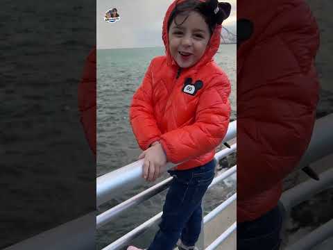 لماذا نحن هنا Funny