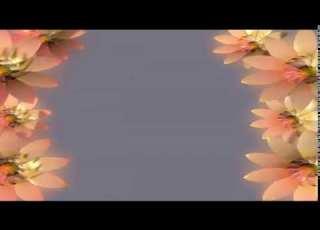 كروما اعراس ورد