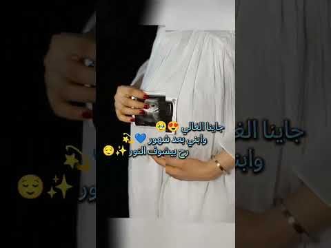 بشاره مولود جاينا الغالي اجمل اغنيه مولود