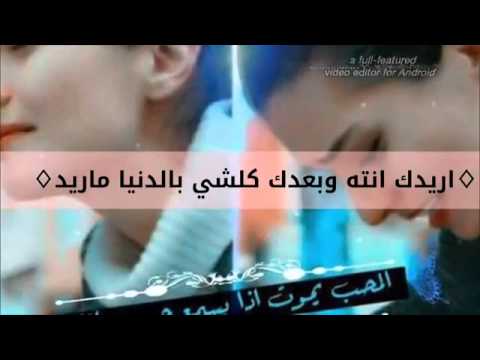 محمد جمال و علي سالم انذليت وانته ماكوو