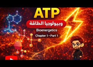 بايوكمستري صيدلة مرحلة ثالثة جابتر 1 بارت 1 Biochemistry