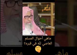 كيف يكون حال المؤمن العاصي في قبره فضيلة الشيخ صالح بن الفوزان حفظه الله تعالى Abo Elmahdi