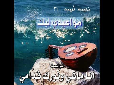 ترنيمة أنا ماشي ونورك قدامي المرنم نجيب لبيب ترنيمة أنا ماشي ونورك قدامي المرنم نجيب لبيب