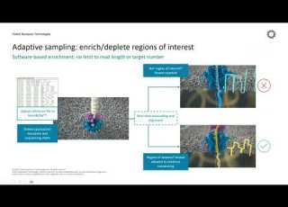  Human Somatic Variation Nanopore Date Sequencing Analaysi Using EPI2ME