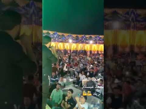 الترند احمد الباشا علي اى حد احنا كعبنا عالي الترند احمد الباشا علي اى حد احنا كعبنا عالي