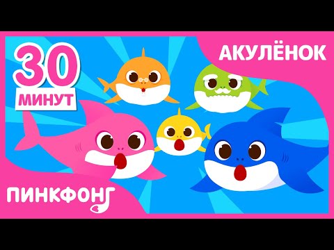 Акулёнок туруру туру Сборник Песни про Животных Семья Акул Пинкфонг песни для детей