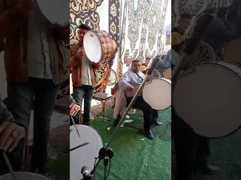 احلى نجم مصر النجم هانى حمزة مزمار البلد في مصر والشرق الأوسط الان فى درين