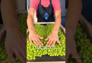 سماق الحصرم حامض و بشهي Sour Grape Summac