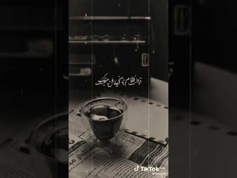 سلملي على عينيك الاتنين ده لحد ما نتقابل عامر منيب سلملي على عينيك الاتنين ده لحد ما نتقابل عامر منيب