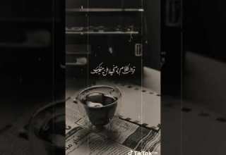 سلملي على عينيك الاتنين ده لحد ما نتقابل عامر منيب