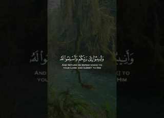 القارئ عبدالرحمن السويد قراءه هادئه من سوره الزمر مقاطع قرآن قصيرة وحالات واتس إسلامية