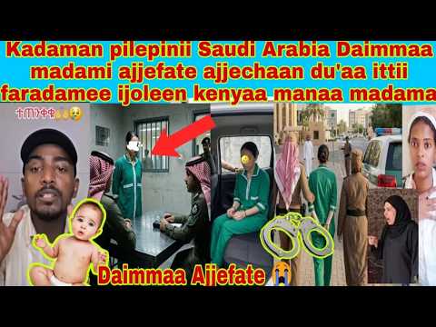 Kadamani Pilepinii Daimmaa Madamin Ajjeessete Ajjeechaan Du Aa Ittii Muratayee Ofi Eganoo Cimaa