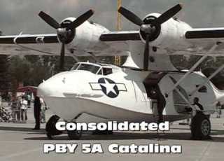 Open Day Catalina