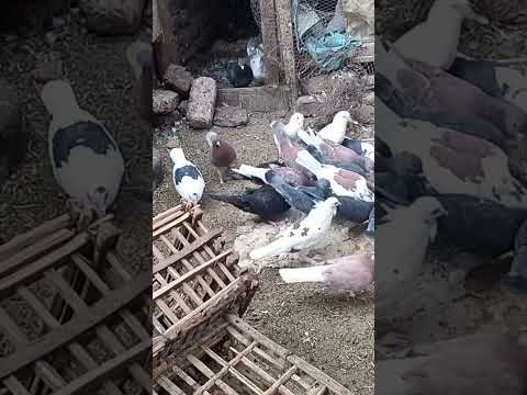 How To Create A Bathroom Project