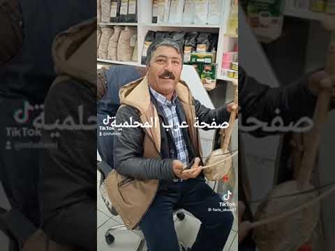 اغاني عرب المحلمية على ناحورا