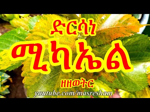 ድርሳነ ሚካኤል ዘዘወትር Dirsane Michael Zezewetir