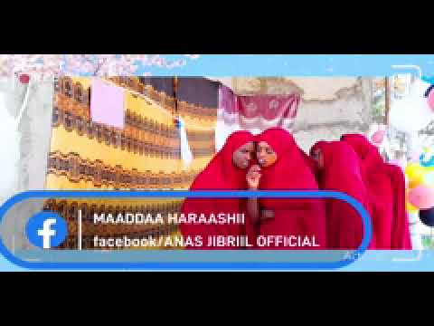 MAADDAA HARAASHII AANAA MALKAA BALLOO ARADDAA WALDAYA MISOOMAA RRAA MAADDAA HARAASHII AANAA MALKAA BALLOO ARADDAA WALDAYA MISOOMAA RRAA