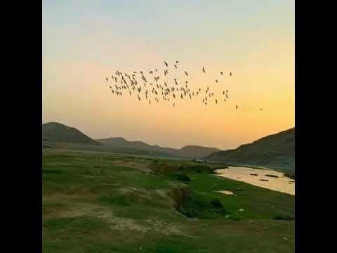 طبعي عزيز النفس