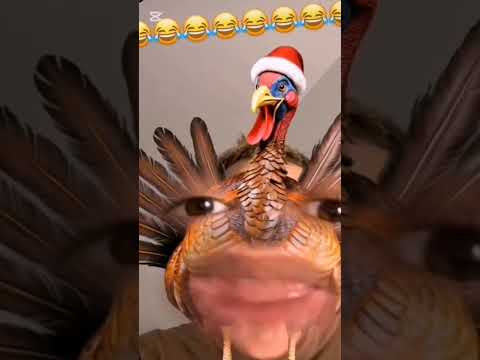 داندوا اكسبلور اهميه Onlyߙjesus Funny اعتني Rㅤgm دويتو شلتنا Memes المراه