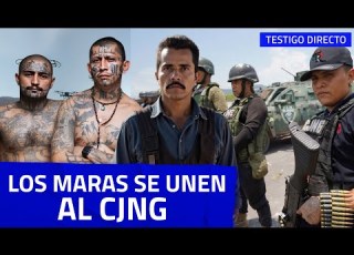  Gang Members From The Maras Arrive In Mexico And Join The Jalisco New Generation Cartel