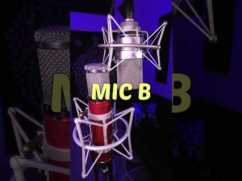 Neumann TLM 103 Vs Avantone CV 12 Vocal Mic Shootout