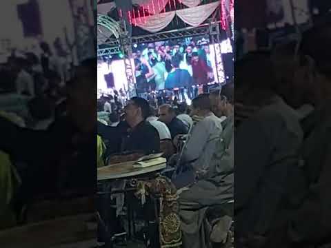 قالك اللي ابوه صعيدي ميخفش واللي ابوه فلاح مجعش قالك اللي ابوه صعيدي ميخفش واللي ابوه فلاح مجعش