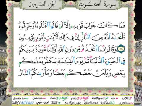 سورة العنكبوت من المصحف المعلم المصور المرمز بالألوان بصوت الشيخ محمود خليل الحصري سورة العنكبوت من المصحف المعلم المصور المرمز بالألوان بصوت الشيخ محمود خليل الحصري
