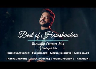  Malayali Mix Best Of Harishankar Songs Beautiful Chillstep Mix