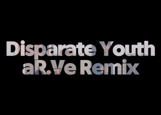  Disparate Youth Santigold AR Ve Remix Video