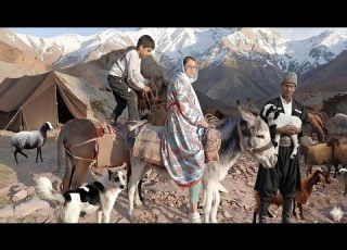  The Real Life Of A Shepherd Girl And The Amazing Donkey Ride Of A Brave Village Boy