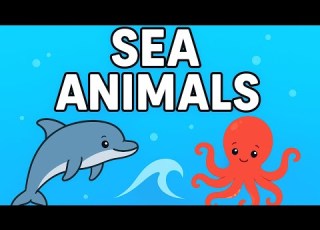  Guess That Sea Creature Fun Animal Facts Pictures For Kids