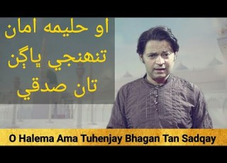 O Haleema Aman Najaf Ali Bhagan Tan Sadqay Jashne Eid Meladun Nabi