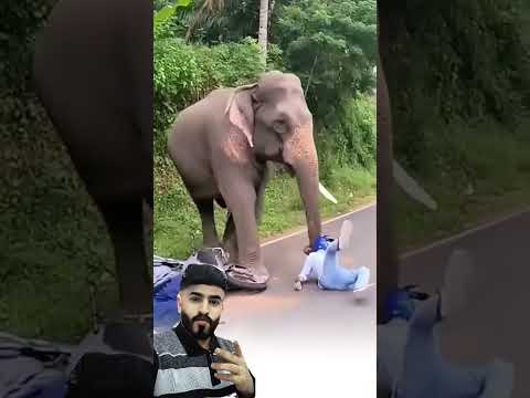 ف ي ل ح ظ ة س ق وط ت د اخ ل ت ر ح م ة الله م ع أ ل م الن ك ب ة Youtubeshorts اكسبلور