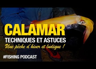 Le Guide Du Pêcheur Pour Pêcher Du CALAMAR En Bord De Mer