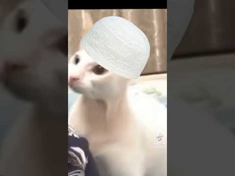 طاهر القلب نقي