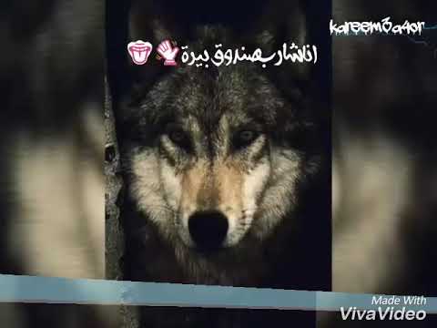 مهرجان نزل بيان