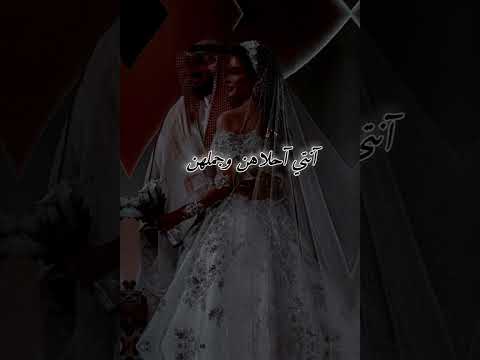 كلهن يغارن كلهن انتي احلهن واجملهن