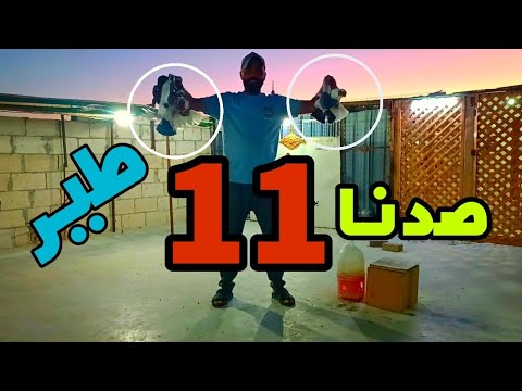 صدنا 11 طير تتوقعو شو عملت مع صاحبهم