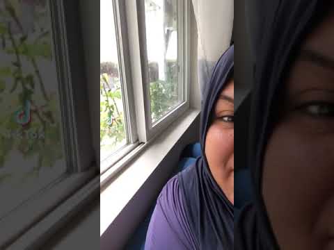 أم خشم طويل