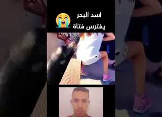  أسد البحر يفترس فتاة Allah Shorts Trending Viral Motivation